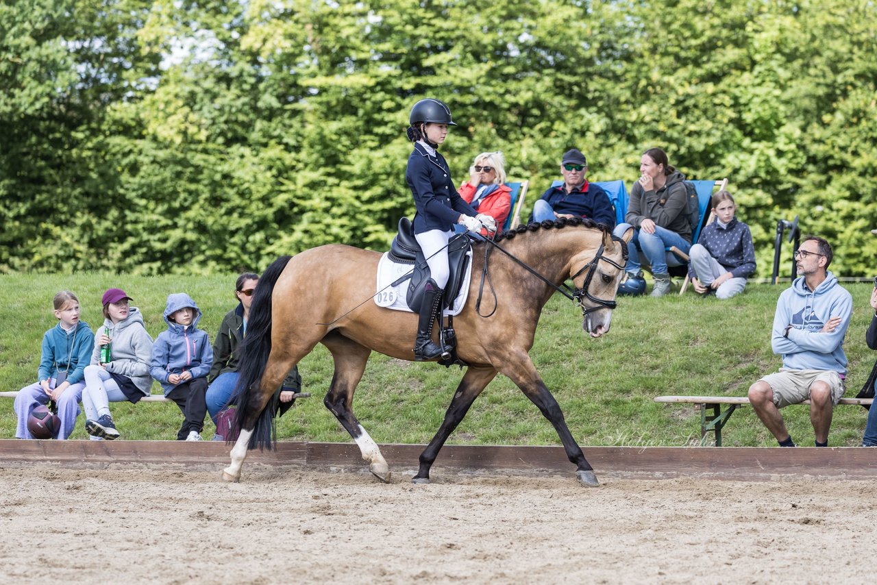 Bild 393 - Pony Akademie Turnier